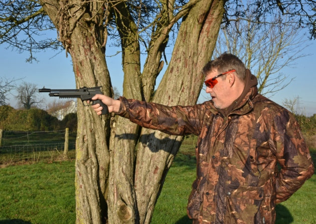 Webley VMX and Webley Alecto air pistols - test & review