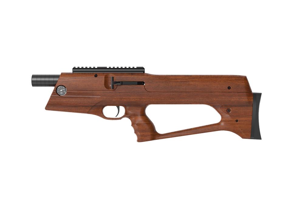 AirMaks Arms CAiMAN Standard