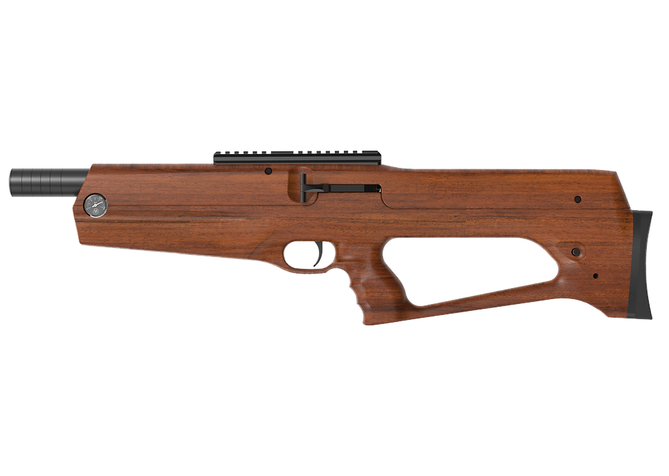 AirMaks Arms CAiMAN X