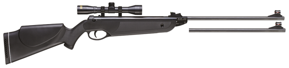 Beeman Dual Bay Cub Air Rifle