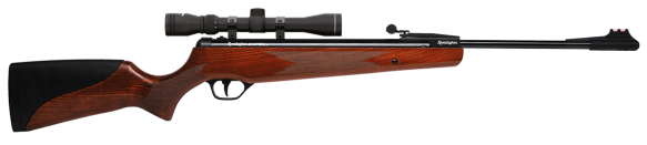 Remington Expel GR Air Rifle