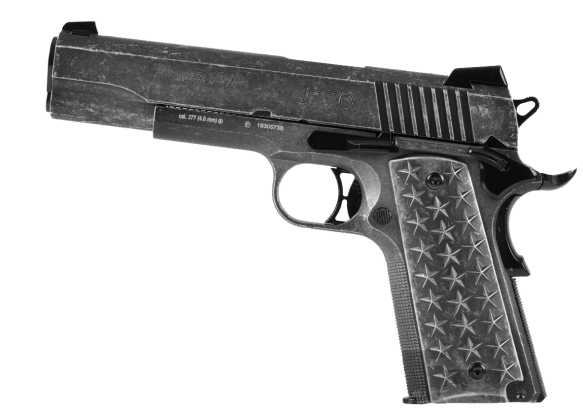 Sig Sauer We The People