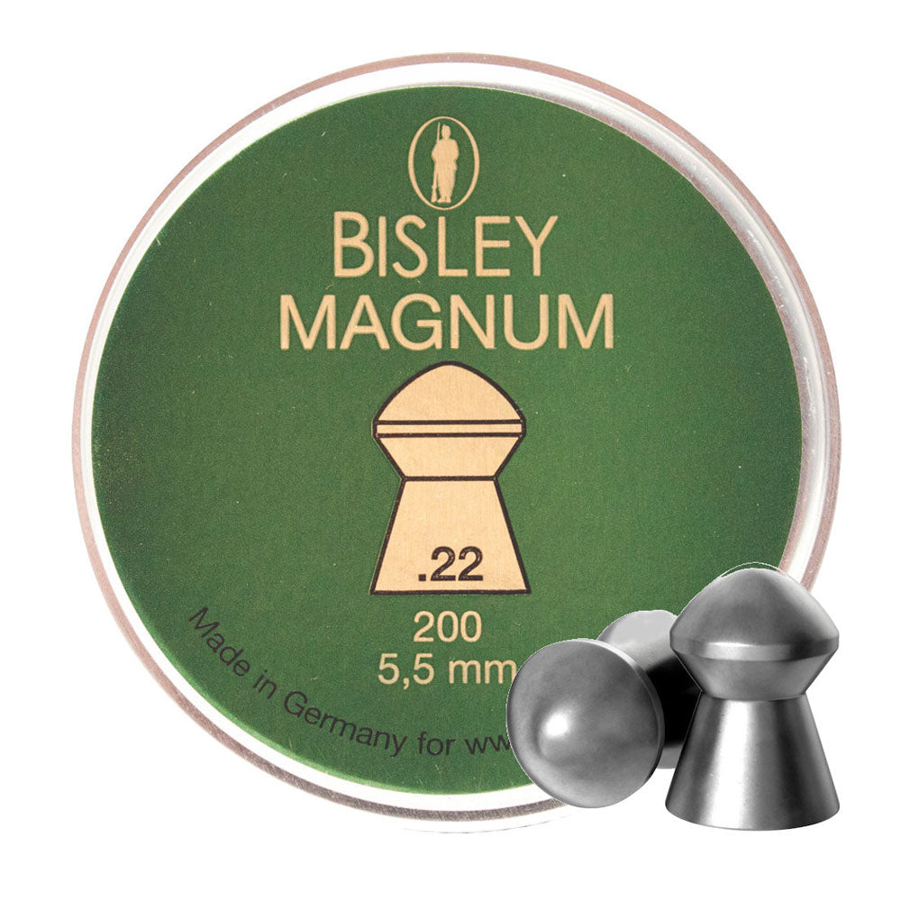Bisley Magnum .22