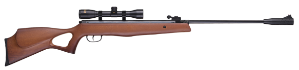 Beeman Hound Air Rifle