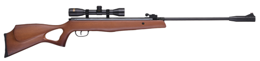 Beeman Hound Air Rifle
