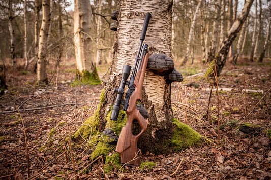 Weihrauch HW100X KT Karbine Thumbhole Walnut-Adjustable