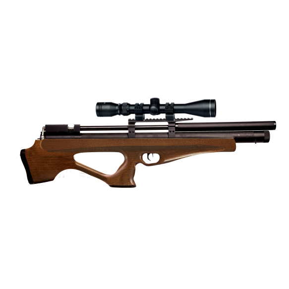 Snowpeak P10 PCP Air Rifle